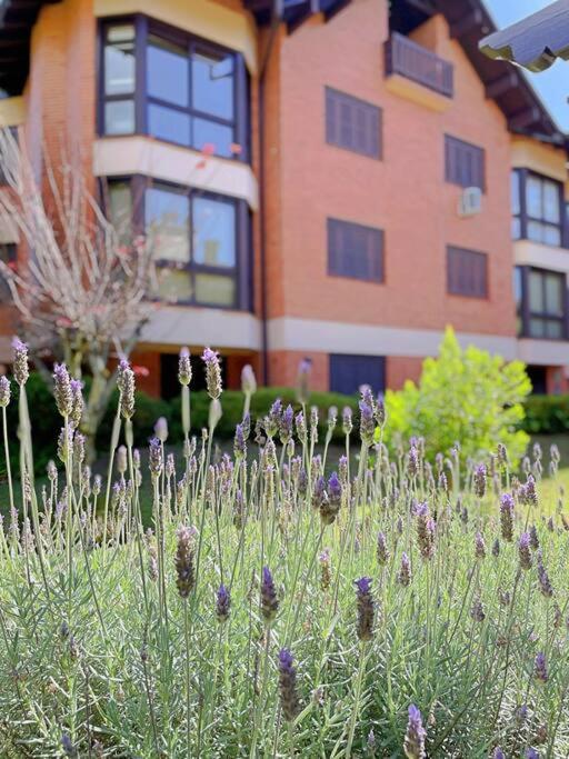 Aconchegante Apto 3 Dorm. Com Piscina Aquecida Gramado Eksteriør billede